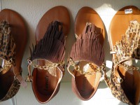 /album/rasterinhas/a10659294-10203963088856420-4063670758449458914-n-jpg/